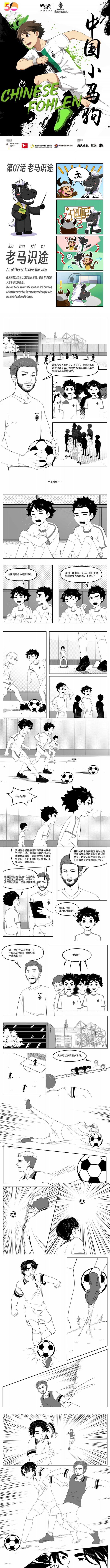 开云APP-中国小马驹第07话——老马识途